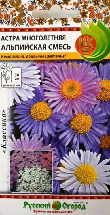 Астра Альпийская смесь-0
