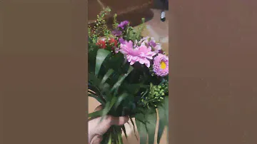 27 июня 2023 г.