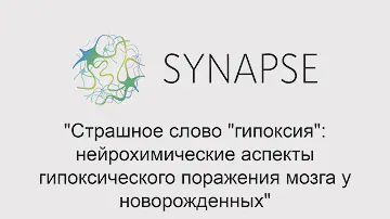 "Страшное слово "гипоксия": нейрохимические аспекты гипоксического поражения мозга у новорожденных"