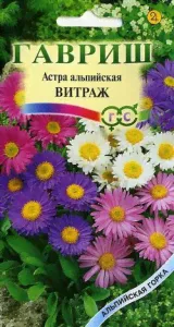 Астра альпийская Витраж (серия Альпийская горка)