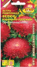 Астра Велюр Карминно-красный
