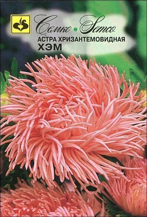 Семко Цветы Астра хризантемовидная ХЭМ ^(0,5г)