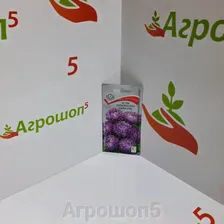 Астра низкорослая Голубой ковер. 0,2 г. Великолепный низкорослый сорт для ковровых цветников. Растение высотой 20 см