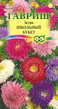 Астра Школьный Букет