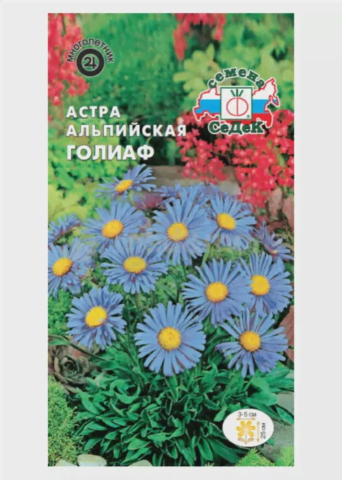 Семена Астра альпийская Голиаф Многолетние 0,1 гр.