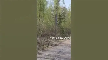 Участок 8 сот. СНТ Астра, Приозерский район, оз.Ладожское 500м.